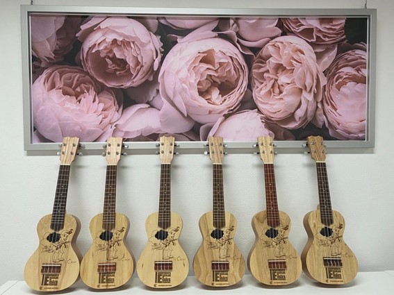 Ukulele Anima Agrupamento