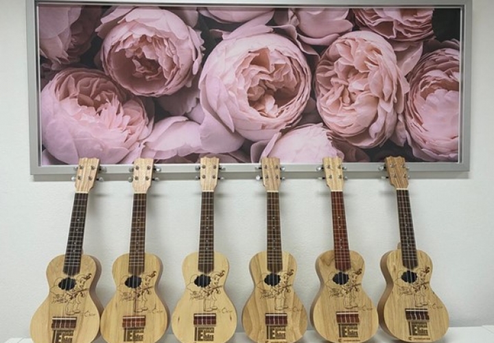 Ukulele Anima Agrupamento