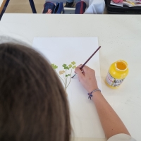 Escola Premiada em Concurso Nacional