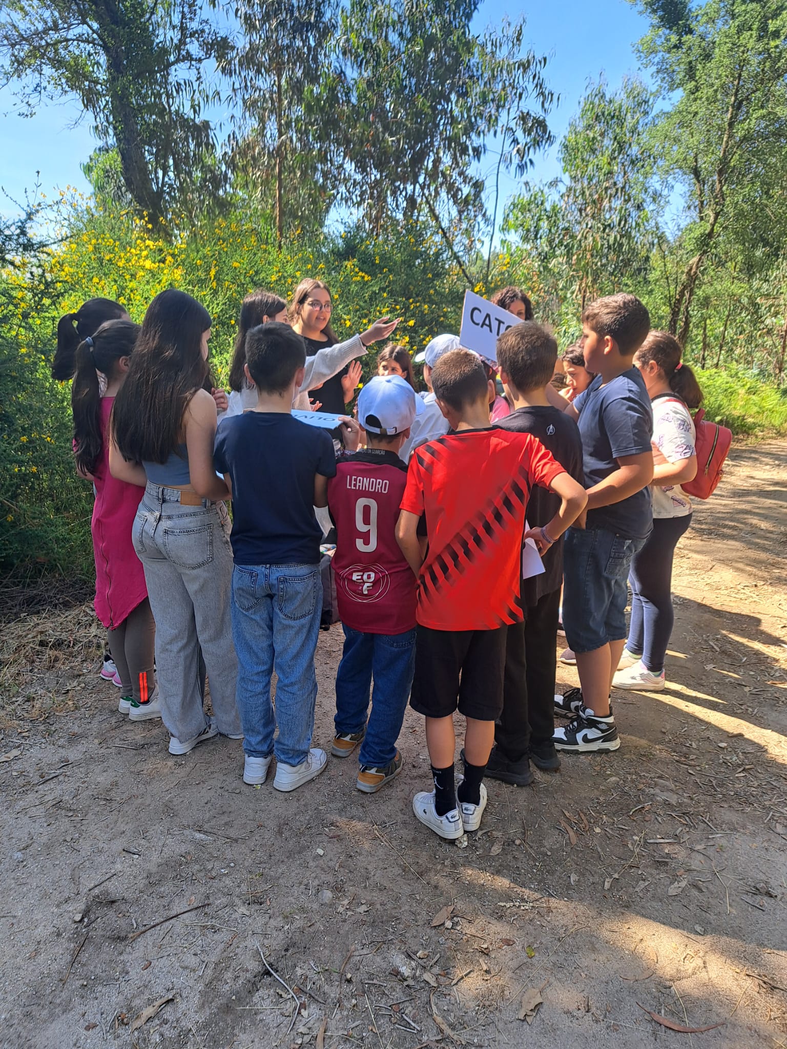 Projeto de Autonomia e Flexibilidade do 8.ºano “Eco Trilhos Pedagógicos”