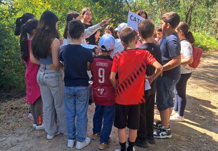 Projeto de Autonomia e Flexibilidade do 8.ºano “Eco Trilhos Pedagógicos”
