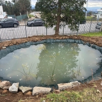 CCVnE Inicia Construção de Charco Pedagógico no Aniversário de Charles Darwin