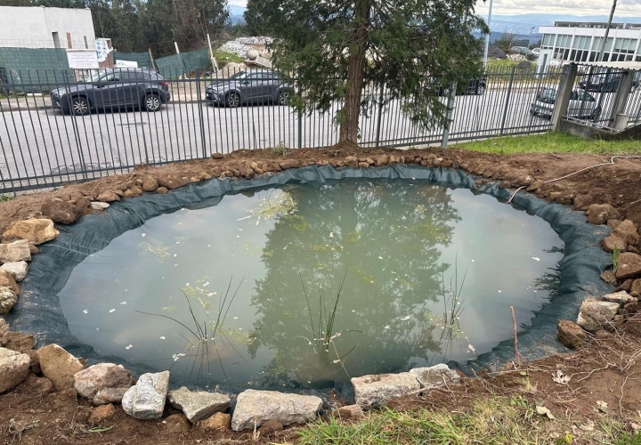 CCVnE Inicia Construção de Charco Pedagógico no Aniversário de Charles Darwin